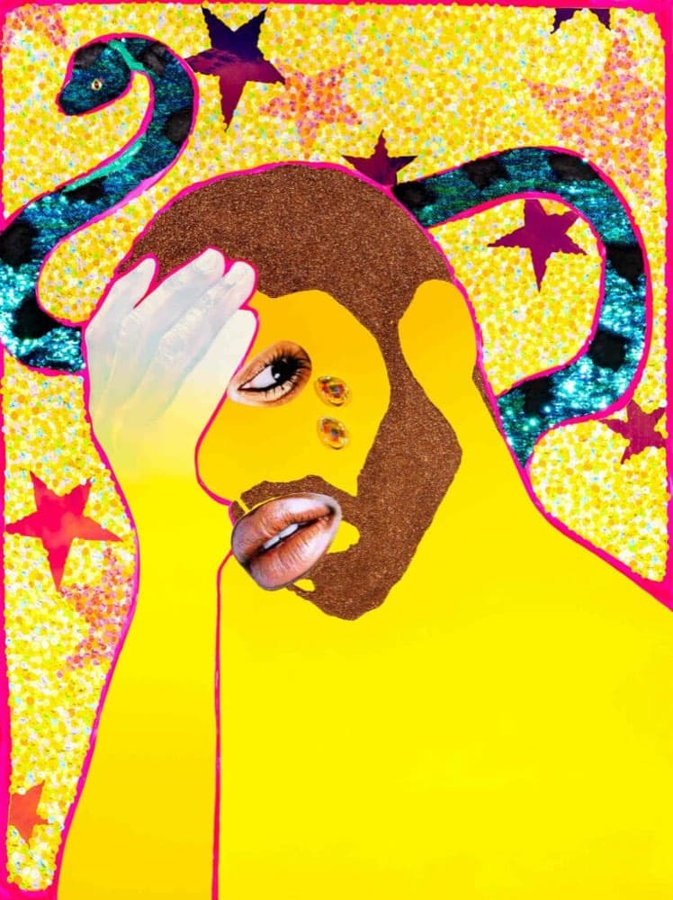 Brooklyn Museum Acquires Devan Shimoyama Print for Permanent Collection