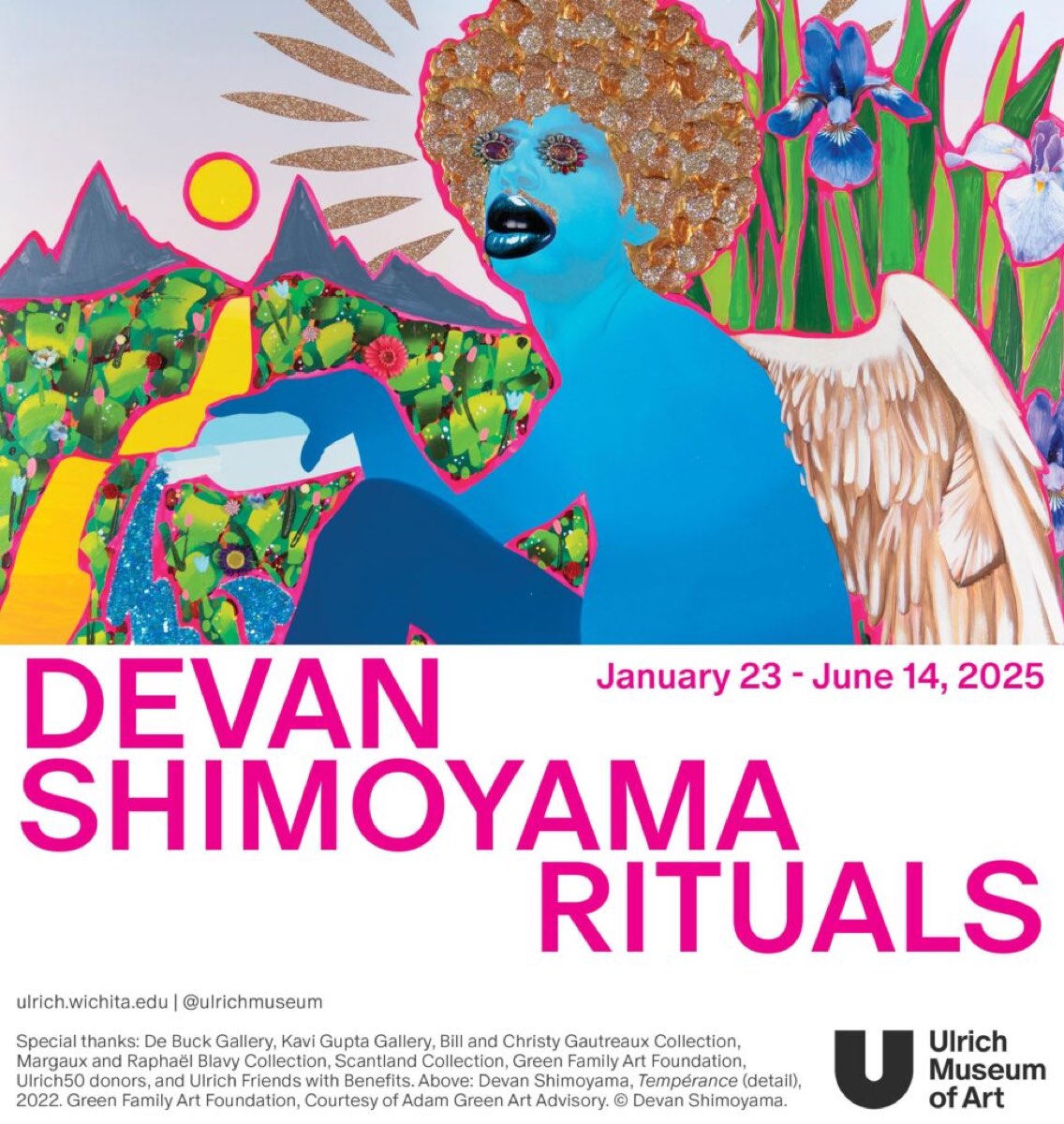 Devan Shimoyama: Rituals