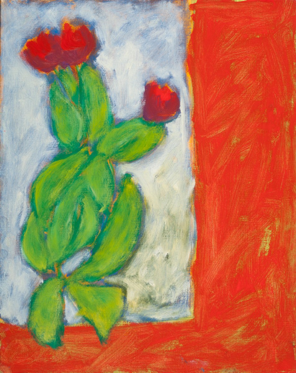 Robert Baras: A Survey