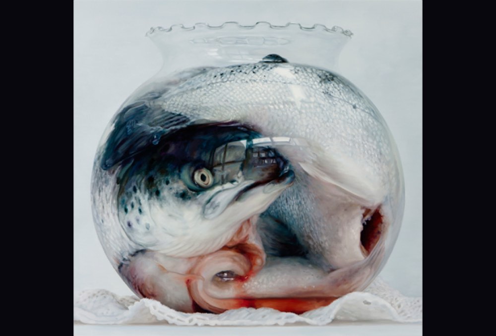 BOHUSLÄNS MUSEUM | Nature Morte | Cindy Wright | May 7 – August 28, 2016